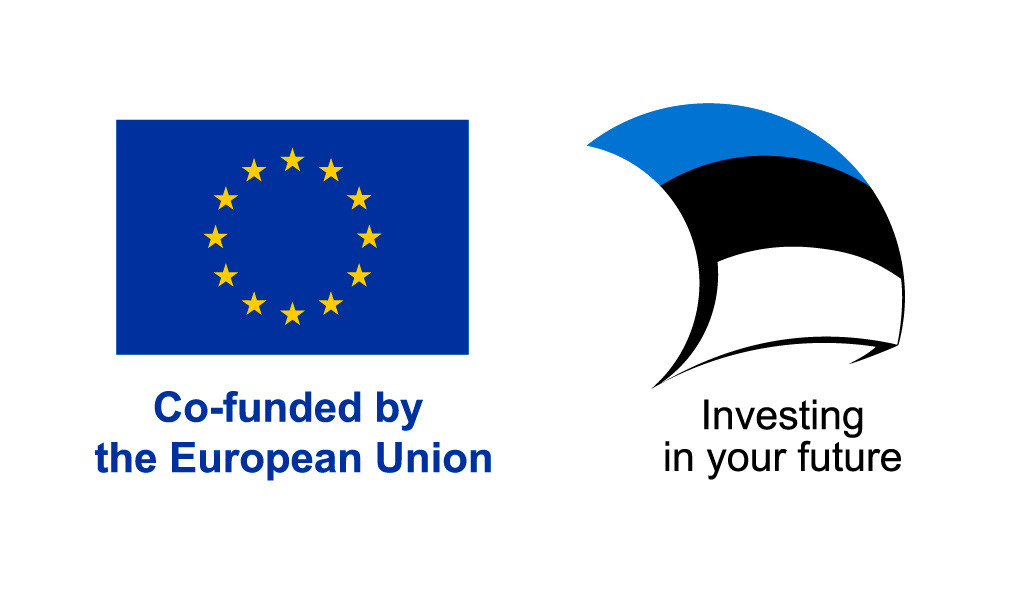 Co-funded by the European Union. Investing in your future.